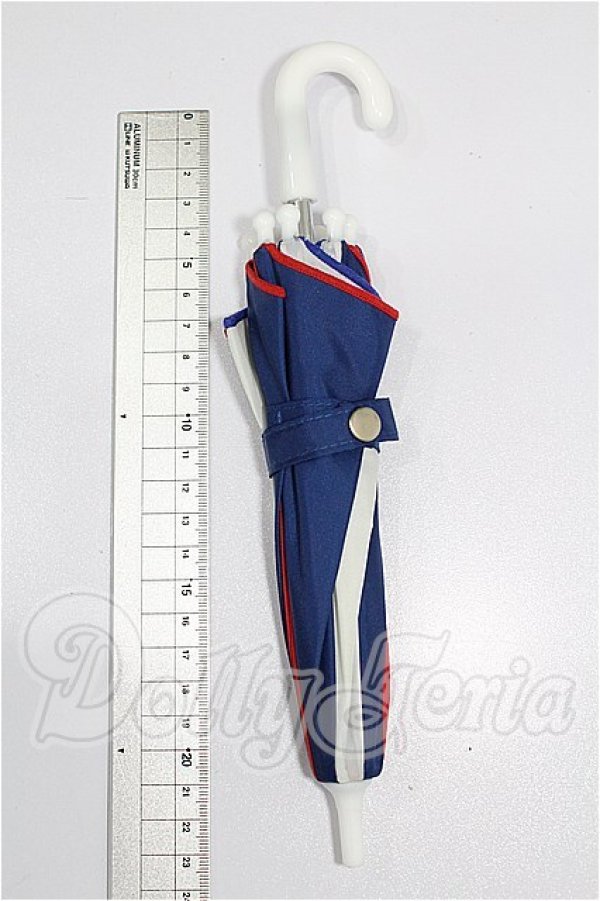 画像2: DD/OF:小物 S-26-04-05-195-YB-ZS (2)