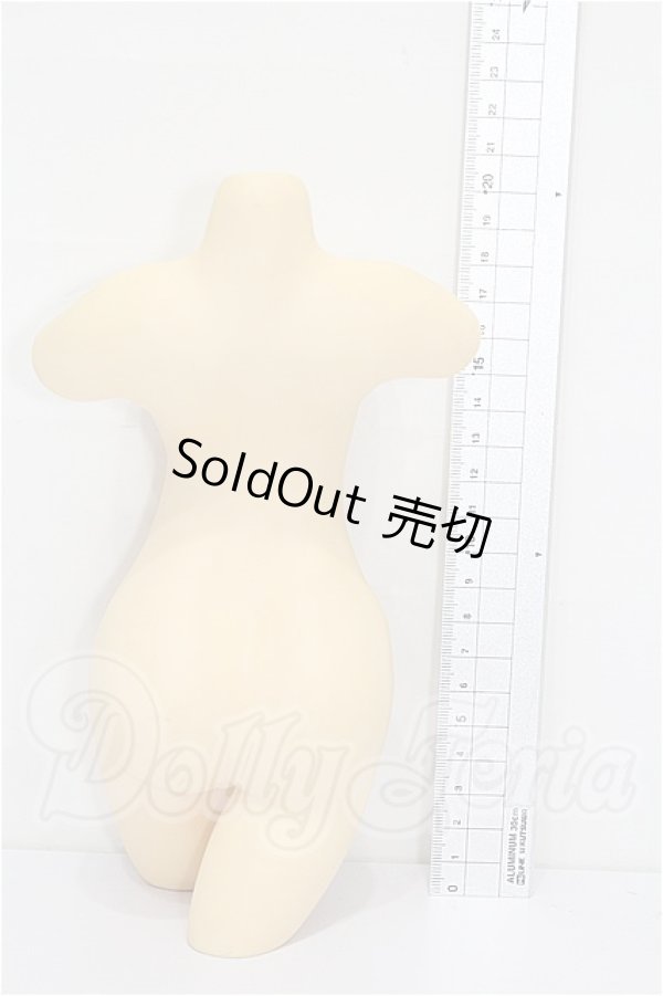 画像2: DD/OF:小物 S-26-04-05-215-YB-ZS (2)