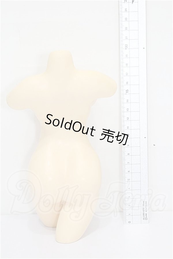 画像2: DD/OF:小物 S-26-04-05-214-YB-ZS (2)