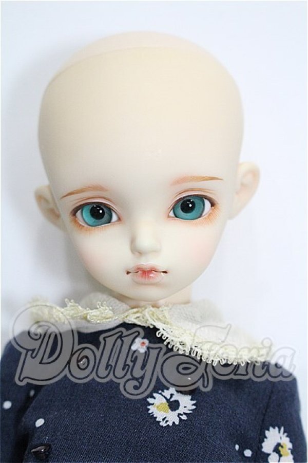 画像2: rosenlied /wendsday's　child　Basic daisy S-26-04-05-102-TO-ZS (2)