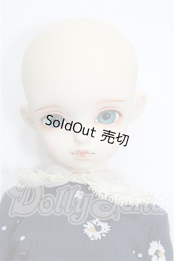 画像2: rosenlied /wendsday's　child　Basic daisy S-26-06-07-370-TO-ZS (2)