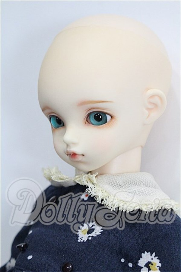 画像3: rosenlied /wendsday's　child　Basic daisy S-26-04-05-102-TO-ZS (3)