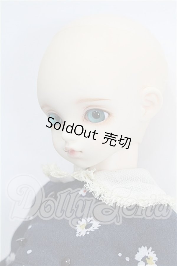 画像3: rosenlied /wendsday's　child　Basic daisy S-26-06-07-370-TO-ZS (3)