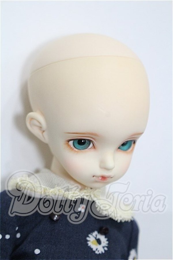 画像4: rosenlied /wendsday's　child　Basic daisy S-26-04-05-102-TO-ZS (4)