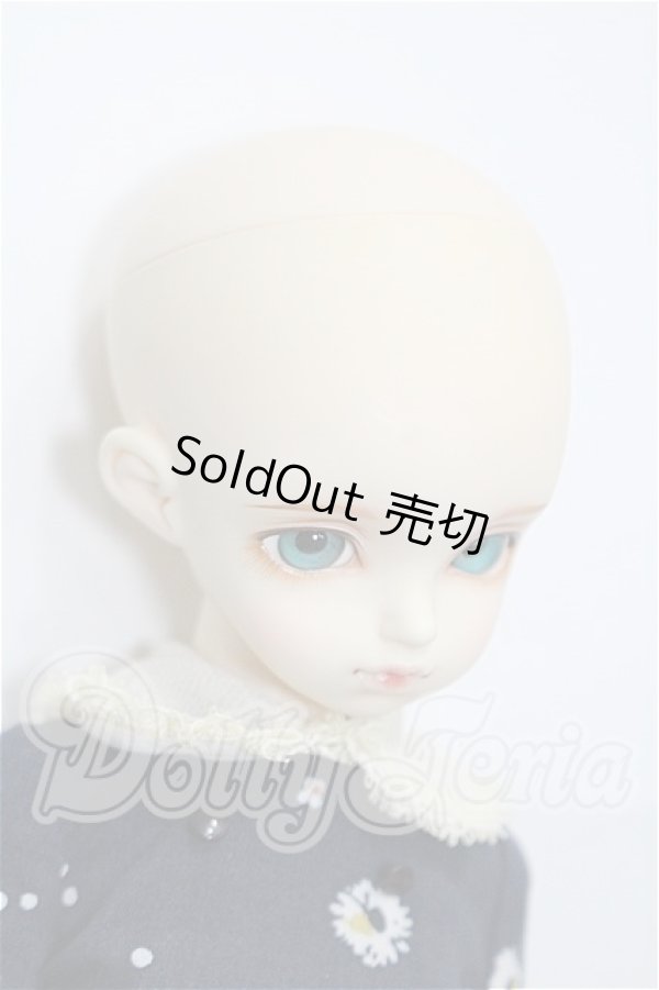 画像4: rosenlied /wendsday's　child　Basic daisy S-26-06-07-370-TO-ZS (4)