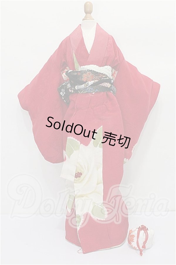 画像1: SD/OF:衣装セット S-26-04-05-309-YB-ZS (1)