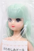 画像2: リカちゃんキャッスル/もえちゃん おたのしみドール S-26-04-12-276-TO-ZS (2)