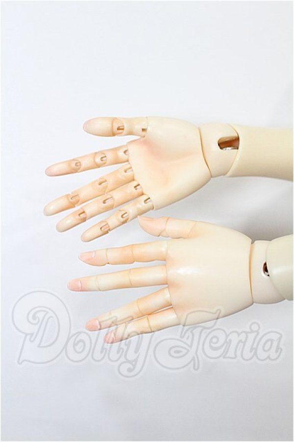 画像7: Asleep Eidolon/Fay S-26-04-19-101-TO-ZS (7)