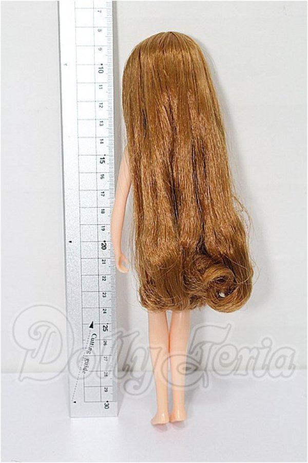 画像3: リカちゃんキャッスル/2014年度版クリスマスモデルリカちゃん S-26-04-26-171-TO-ZS (3)