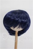 画像1: ネオブライス/ウィッグ(10〜11inch) S-26-10-25-250-TO-ZS (1)