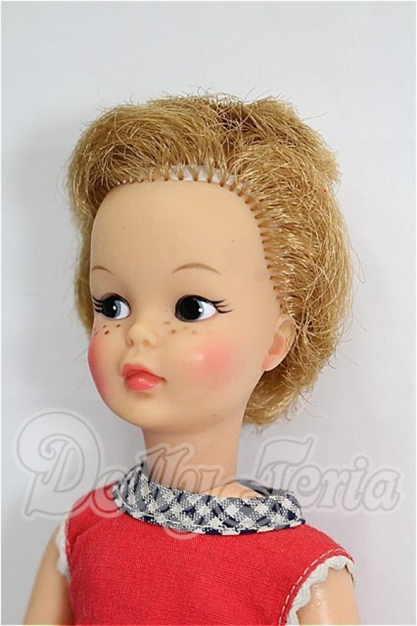 画像2: タミーちゃん S-26-04-19-307-YB-ZS (2)