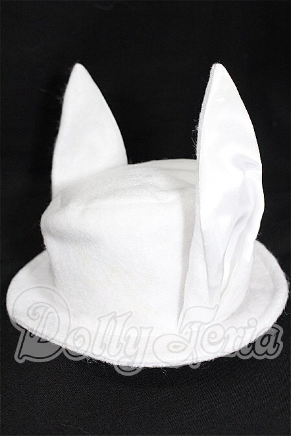 画像1: SD/OF 帽子 S-26-04-26-294-TO-ZS (1)