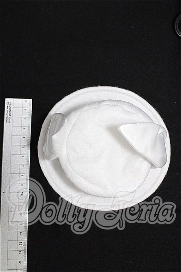 画像2: SD/OF 帽子 S-26-04-26-294-TO-ZS (2)