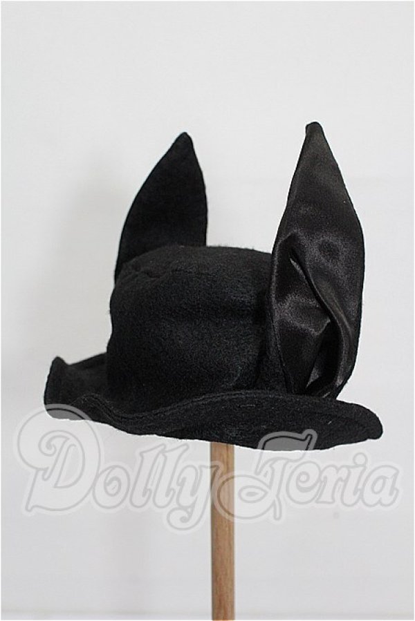 画像1: SD/OF 帽子 S-26-04-26-295-TO-ZS (1)