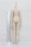 画像2: MDD/ベースボディ(DD-f3/セミホワイト) S-26-05-03-103-TO-ZS (2)