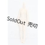 画像: azone/ピュアニーモ2フィールボディ S-26-05-10-336-TO-ZS