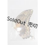 画像: SDM&MSD/OF:小物 S-26-04-26-327-TO-ZS