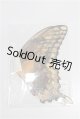 画像: SDM＆MSD/OF:小物 S-26-04-26-327-TO-ZS