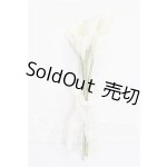 画像: SD/OF:小物 S-26-04-26-333-TO-ZS