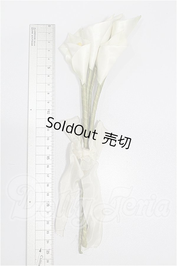 画像2: SD/OF:小物 S-26-04-26-333-TO-ZS (2)