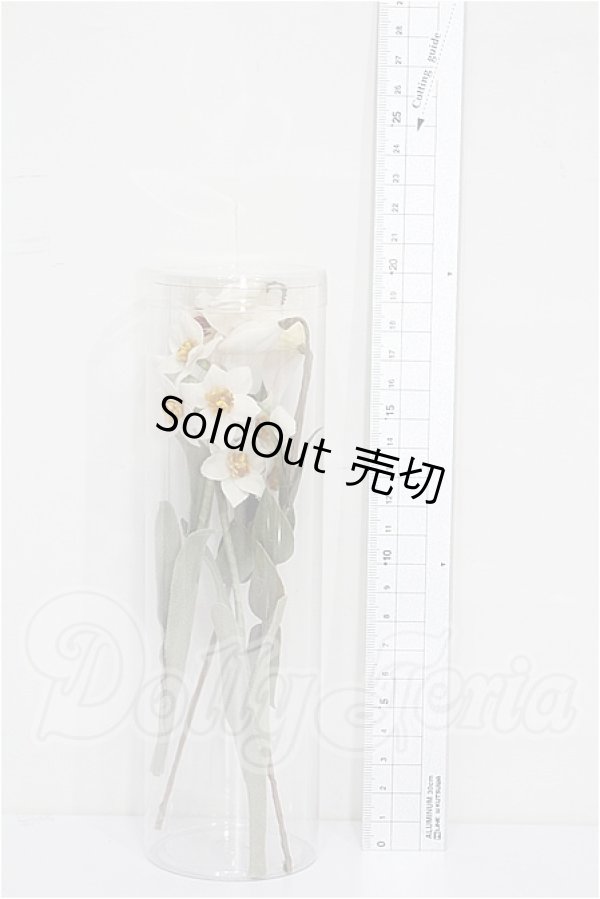 画像2: SD/OF:小物 S-26-04-26-334-TO-ZS (2)