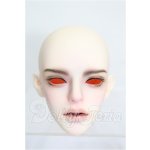 画像: LUTS/Grand Senior Delf SIRIUS Head S-26-05-03-212-TO-ZS