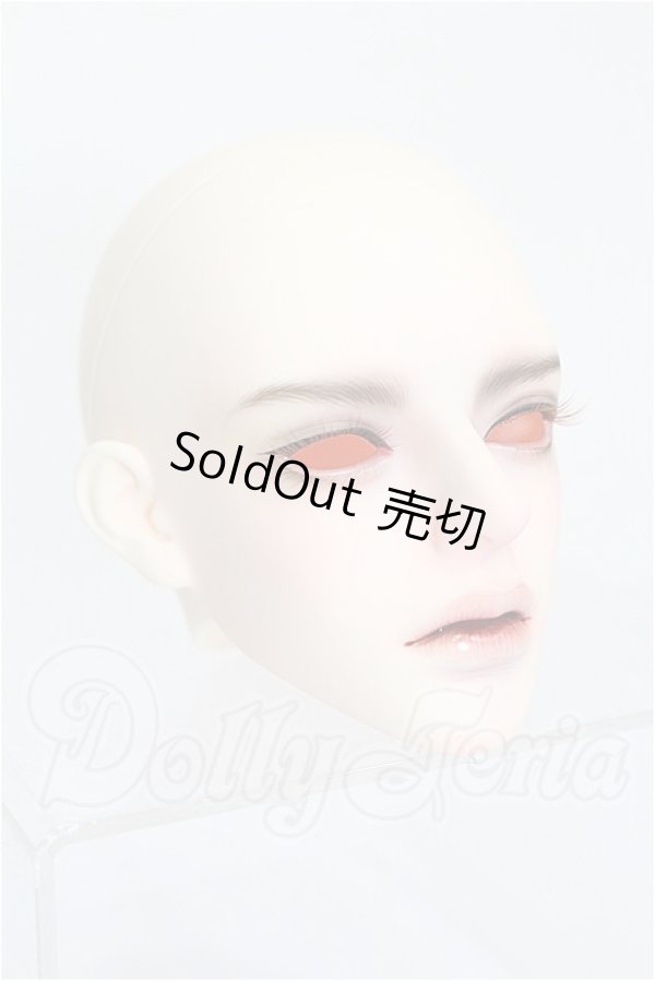画像3: LUTS/Grand Senior Delf SIRIUS Head S-26-07-05-522-TO-ZS (3)