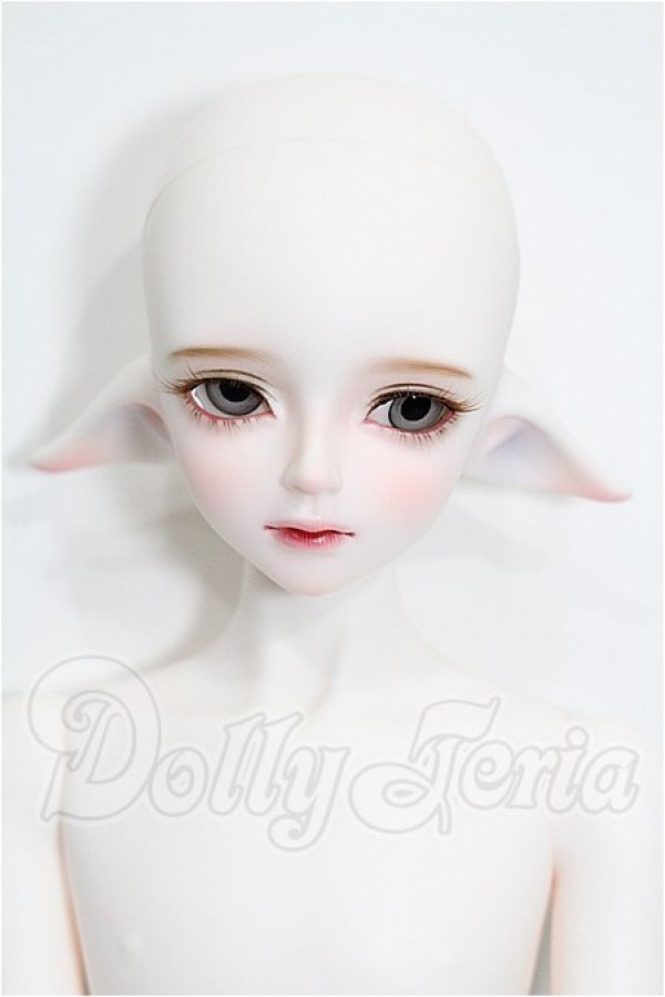 画像1: LUTS/Kid45 Delf KAI ELF 2 ver. Limited S-26-05-03-202-TO-ZS (1)