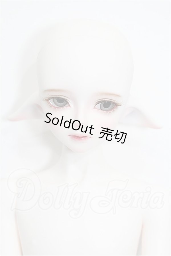 画像1: LUTS/Kid45 Delf KAI ELF 2 ver. Limited S-26-05-03-202-TO-ZS (1)
