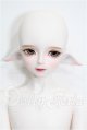 画像: LUTS/Kid45 Delf KAI ELF 2 ver. Limited S-26-05-03-202-TO-ZS