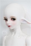 画像2: LUTS/Kid45 Delf KAI ELF 2 ver. Limited S-26-05-03-202-TO-ZS (2)