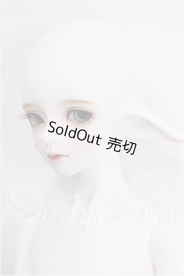 画像2: LUTS/Kid45 Delf KAI ELF 2 ver. Limited S-26-05-03-202-TO-ZS (2)