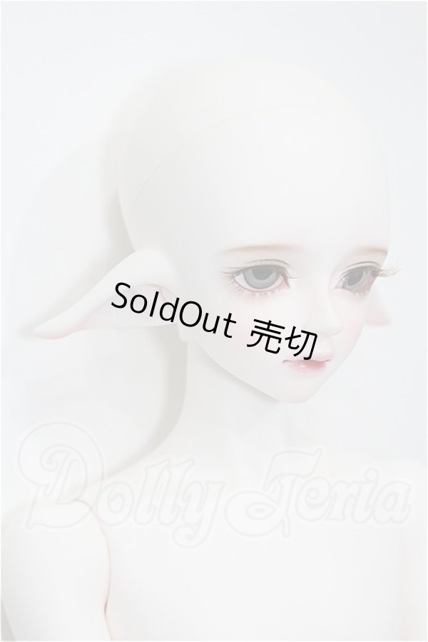 画像3: LUTS/Kid45 Delf KAI ELF 2 ver. Limited S-26-05-03-202-TO-ZS (3)