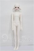 画像4: LUTS/Kid45 Delf KAI ELF 2 ver. Limited S-26-05-03-202-TO-ZS (4)