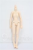 画像1: azone/ピュアニーモ2フィールボディ S-26-05-10-335-TO-ZS (1)