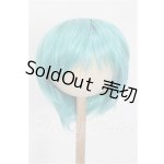 画像: 8-9inch/ウィッグ S-26-06-28-145-TO-ZS