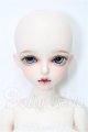 画像: Myoudoll/Michelle S-26-05-10-102-TO-ZS