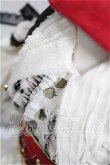 画像4: rosenlied/holiday's child衣装セット S-26-05-31-167-TO-ZS (4)
