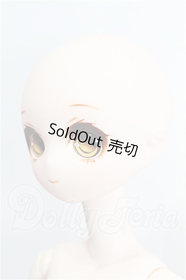 画像2: prabox/PB-4004ヘッド S-26-05-10-311-TO-ZS (2)