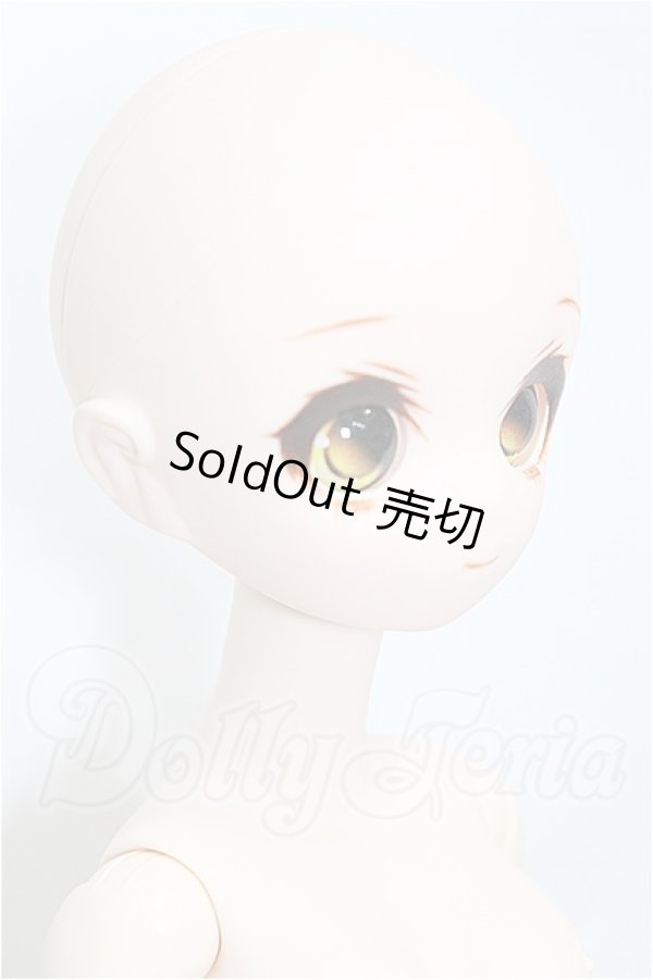 画像3: prabox/PB-4004ヘッド S-26-05-10-311-TO-ZS (3)