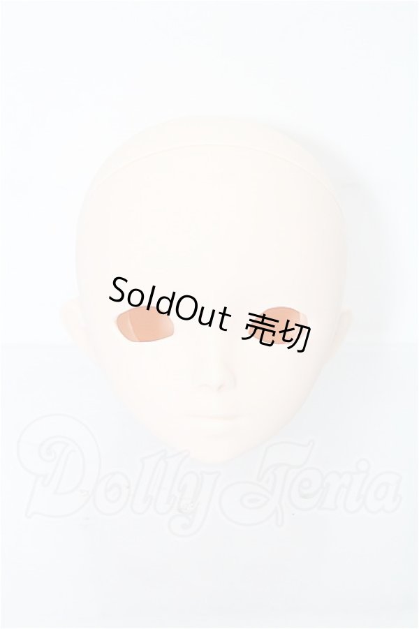 画像1: PARABOX/ローラヘッド(PB4701) S-26-07-12-365-TO-ZS (1)