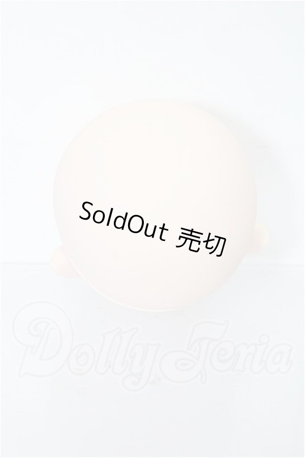 画像2: PARABOX/ローラヘッド(PB4701) S-26-07-12-365-TO-ZS (2)