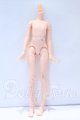 画像: azone/ピュアニーモフレクションXS女の子ボディ S-26-09-13-024-YB-ZS