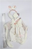 画像5: MDD/OF:衣装セット S-26-05-24-291-TO-ZS (5)