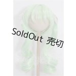 画像: 9-10inch/ウィッグ S-26-05-24-246-TO-ZS