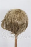 画像2: 8-9inch/ウィッグ S-26-06-28-146-TO-ZS (2)