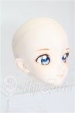 画像3: DDH-09カスタムヘッド S-26-05-10-324-TO-ZS (3)