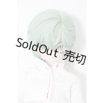 画像: 扎克事件シリーズ ZACK Event　観察対象　 S-26-05-17-234-TO-ZS