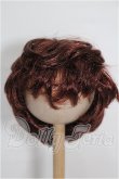 画像1: 7-8inch/ウィッグ S-26-05-24-243-YB-ZS (1)