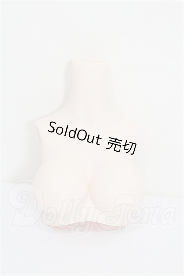 画像1: MDD/MDD2.0-B-L-SW:上半身パーツ L胸 S-26-05-17-328-YB-ZS (1)